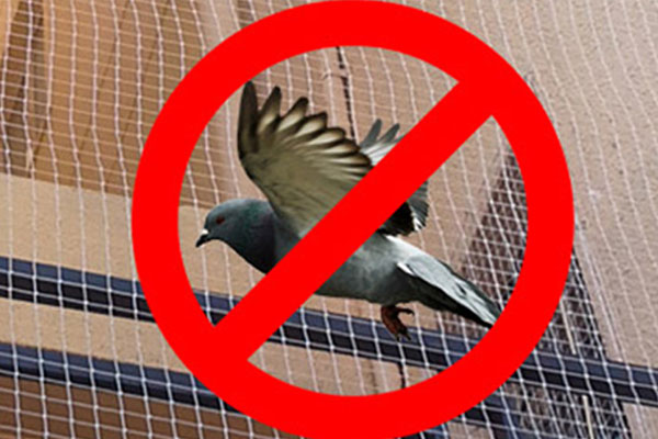   Pigeon Safety Nets  in Mallapur  